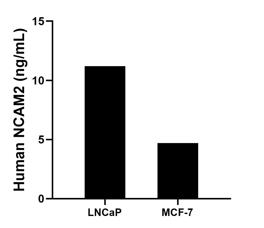 Sample test of MP00493-3